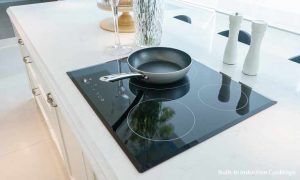 different types of Induction cooktops
